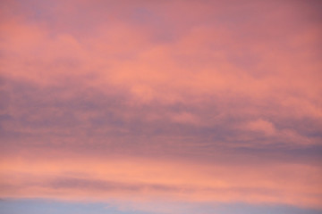 Dreamy evening sky  in pastel tones with fluffy pink clouds at sunset