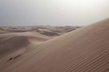 sand dunes in the desert