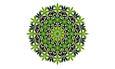 Green and black vector mandala icon