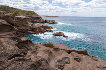 snapper point