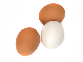 Tree aggs isolated on a white background