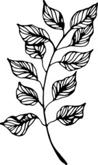 Vector hand drawn linear herbs. Black and white, isolated. Best for vintage design, greeting cards, eco design, wrapping paper, invitation. summer, spring