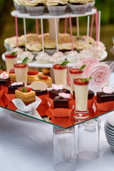 Candy bar served with slices of strawberry cake, cream dessert in glasses, cupcakes and cake pops on table outdoors, copy space. Dessert table for birthday party or wedding reception. Holiday concept