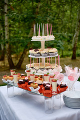 Candy bar served with slices of strawberry cake, cream dessert in glasses, cupcakes and cake pops on table outdoors, copy space. Dessert table for birthday party or wedding reception. Holiday concept