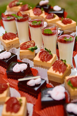 Candy bar served with slices of strawberry and chocolate cake, cream dessert in glasses on table outdoors, copy space. Dessert table for birthday party or wedding reception. Holiday concept