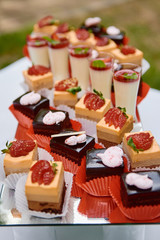 Candy bar served with slices of strawberry and chocolate cake, cream dessert in glasses on table outdoors, copy space. Dessert table for birthday party or wedding reception. Holiday concept