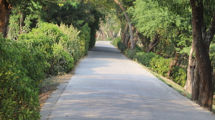 Obraz premium The rural way