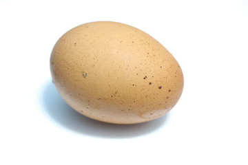 chicken egg isolated on white background