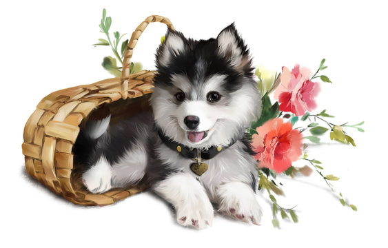 Husky puppy lying in a basket surrounded by flowers