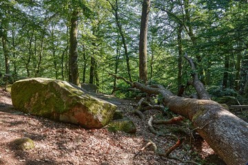 Echo Valley - boulders in a forest, vicinity of Aakirkeby, Bornholm island, Denmark © Piotr Patkowski/Wirestock