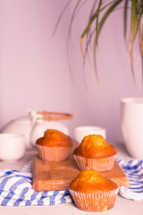  Three muffins accompanied by a coffee maker and white coffee cups. A plant. Light background. Vertical format