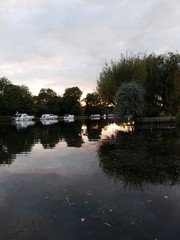 Fototapeta premium lake in park