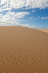 Fototapeta na wymiar stockton sand dunes