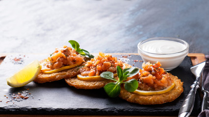 Potato pancakes with salmon and sour cream. Draniki. Copy space