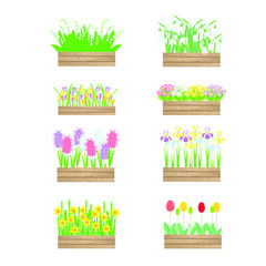 Flowers in wood box set. snowdrops, hyacinths, daffodils, tulips, crocuses, primroses, irises art design element stock vector illustration for web, for print