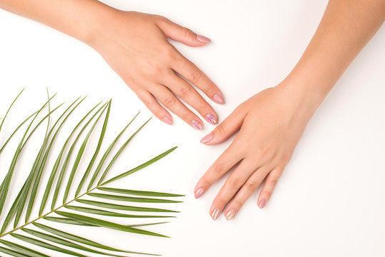 Female hands with palm leaf on white background. Tender women manicure. Beauty, welness and organic natural cosmetic