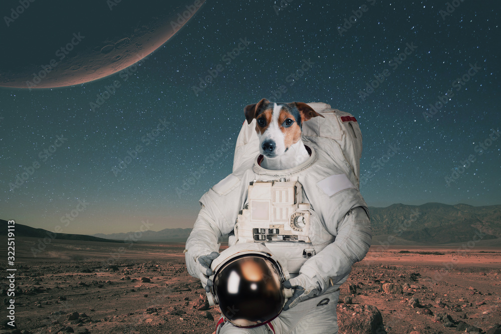 Aufkleber dog astronaut in a space suit with a helmet travels on mars. spaceman animal on a red planet. space 
