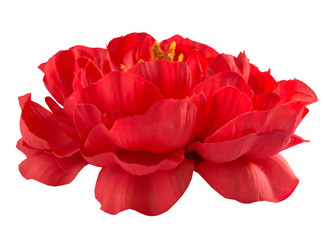 beautiful red peony from fabric on a white background. flower of love and passion