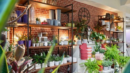 Beautiful atmospheric flower shop with decorations. Stylish interior design with plants, pots, and...