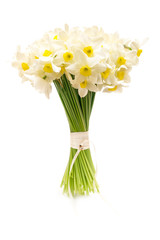 Beautiful bouquet of spring daffodils on a white isolated background