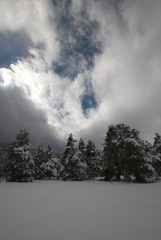 Spectacular now scene in Haccagiz Plateau Bolu Turkey.
