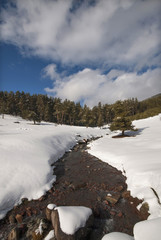 Spectacular now scene in Haccagiz Plateau Bolu Turkey.