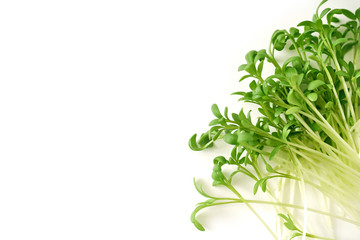 Watercress salad micro greens on white background. Organic raw vegan healthy food. Vegan dinner ingreditn. Healthy nutrition.