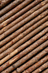 Spectacular now scene in Haccagiz Plateau Bolu Turkey.