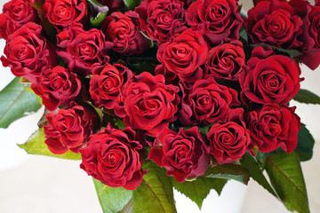 background with natural red roses