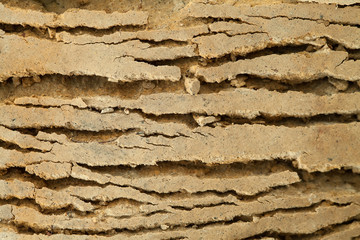A layer of earth with cracks. Background image.