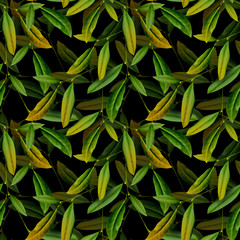 Leaves seamless pattern. Artistic background.