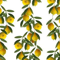 Lemons seamless pattern. FRuit Background.