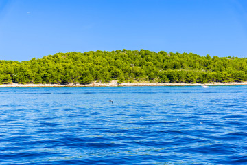 Green islands in the sea. Mediterranean island with rocky coast. Vacation travel destination, Archipelago Kornati, Dalmatia, Croatia, Europe