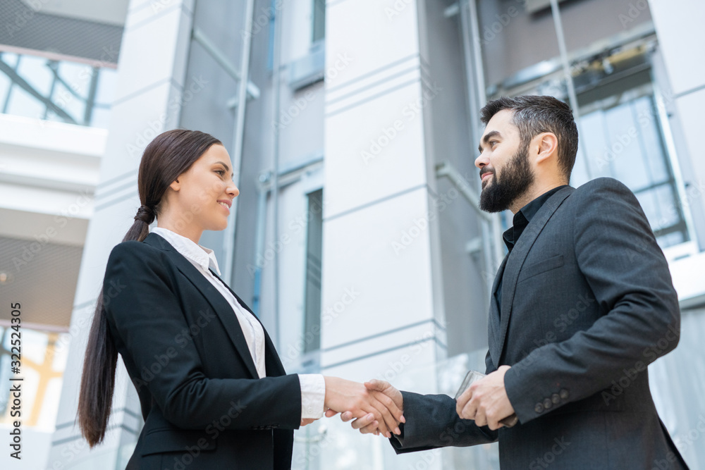 Poster below view of smiling lady handshaking with new business partner while greeting him in office