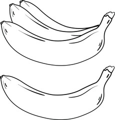 Contour vector illustration with bananas on white background. Good for printing. Fruit isolated set. Postcard and logo ideas. Coloring book design.