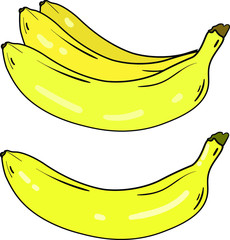 Color vector illustration with bananas on white background. Isolated fruit set. Good for printing. Postcard and logo elements.
