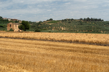 Fototapeta na wymiar Rural landscape in Molise at summer