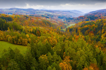 Obraz premium Forest landscape in autumn day