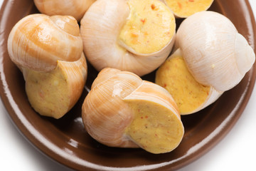 still life of stuffed snail sauce, on a white background