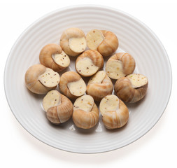 still life of stuffed snail sauce, on a white background