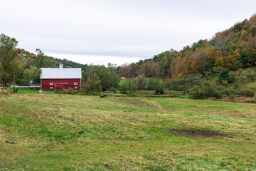 Farm with a traditional red wooden barn and horses grazing in a field on a cloudy autumn day