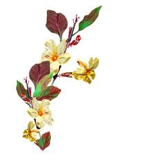 Twig with yellow flowers. Hand drawn template.