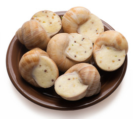 still life of stuffed snail sauce, on a white background