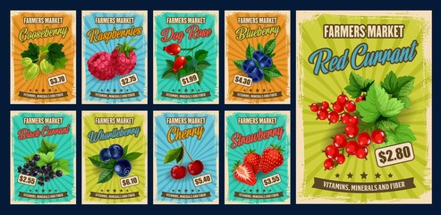 Berry and fruit branches of vector strawberry, cherry and blueberry, raspberry, black and red currants, gooseberry, bilberry and sweet briar. Farmer market retro posters with berries and price tags