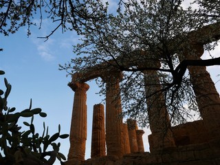 Valle dei Templi (Greek Temples), Agrigento, Sicily
