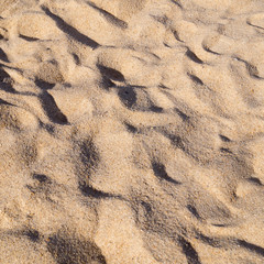 light brown sand on the beach for background