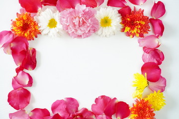 Beautiful flowers on a white background