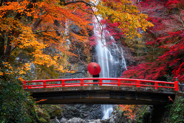 the red bridge in minoh waterfall - obrazy, fototapety, plakaty