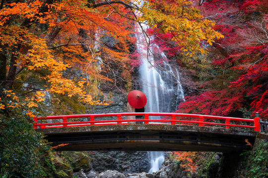 the red bridge in minoh waterfall