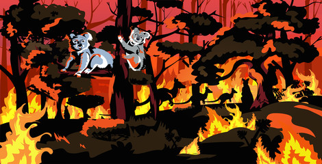 Naklejka premium koala bears sitting on tree forest fires in australia animals dying in wildfire bushfire natural disaster concept intense orange flames horizontal vector illustration